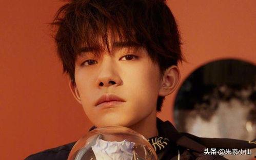 娱乐吃瓜杨洋视频大全,笑料百出，精彩纷呈